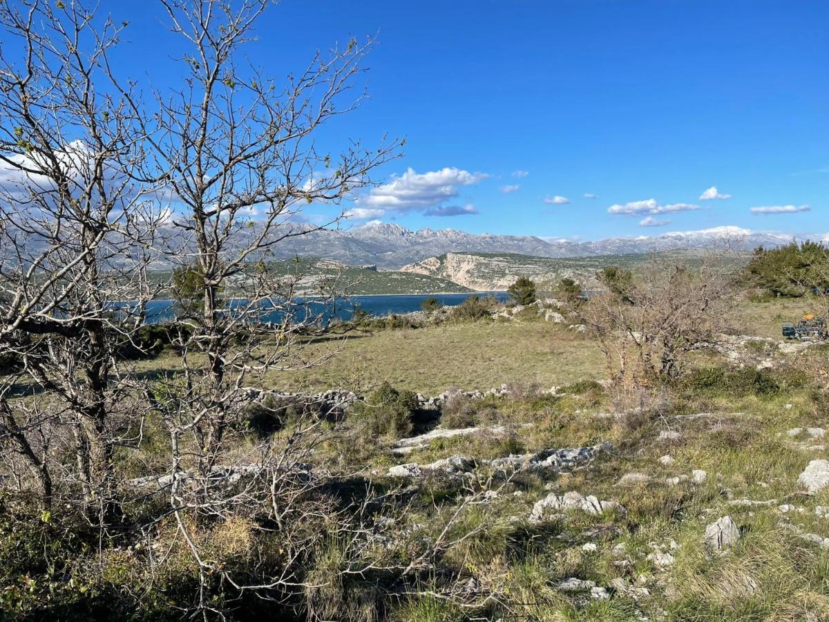 Villa Planita Dalmacija Novigrad  Exteriér fotografie