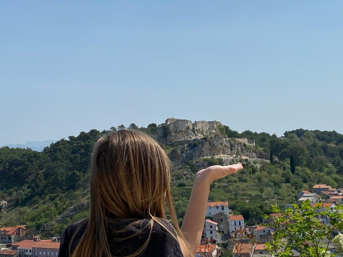 Villa Planita Dalmacija Novigrad  Exteriér fotografie
